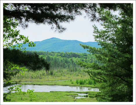 Saint Regis Mountain from the VIC building deck